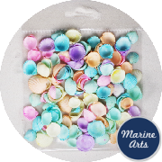 8065-P8 - Craft Pack - Coloured Rose Cockle Shells